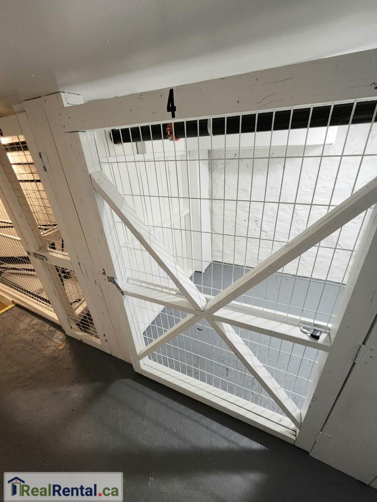 Self storage rental in Shelburne - 155 main st